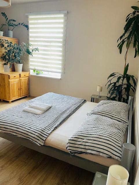Apartmán Lucián Praga Esterno foto